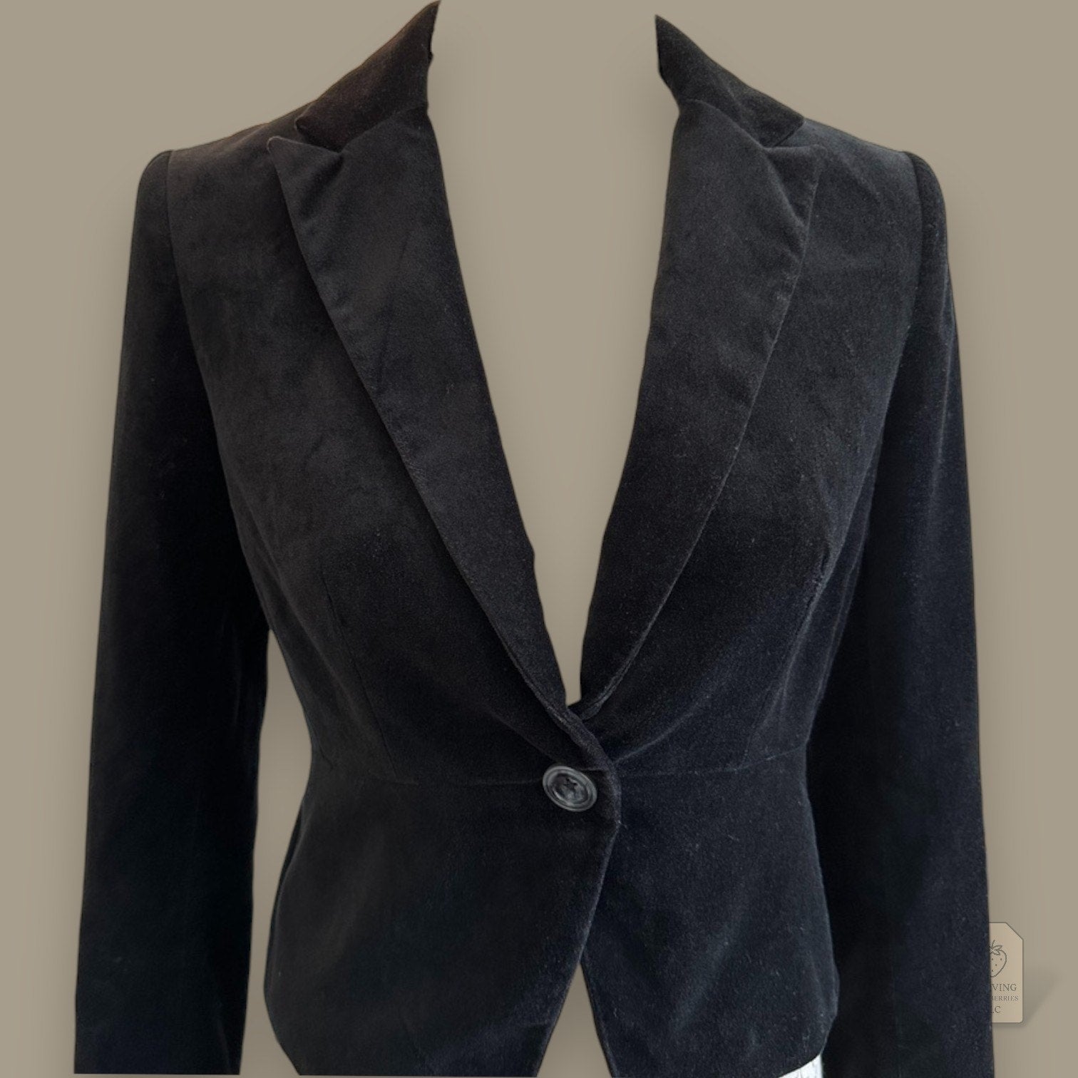Banana Republic Black Velvet Blazer Fitted Jacket Button Front Size 0